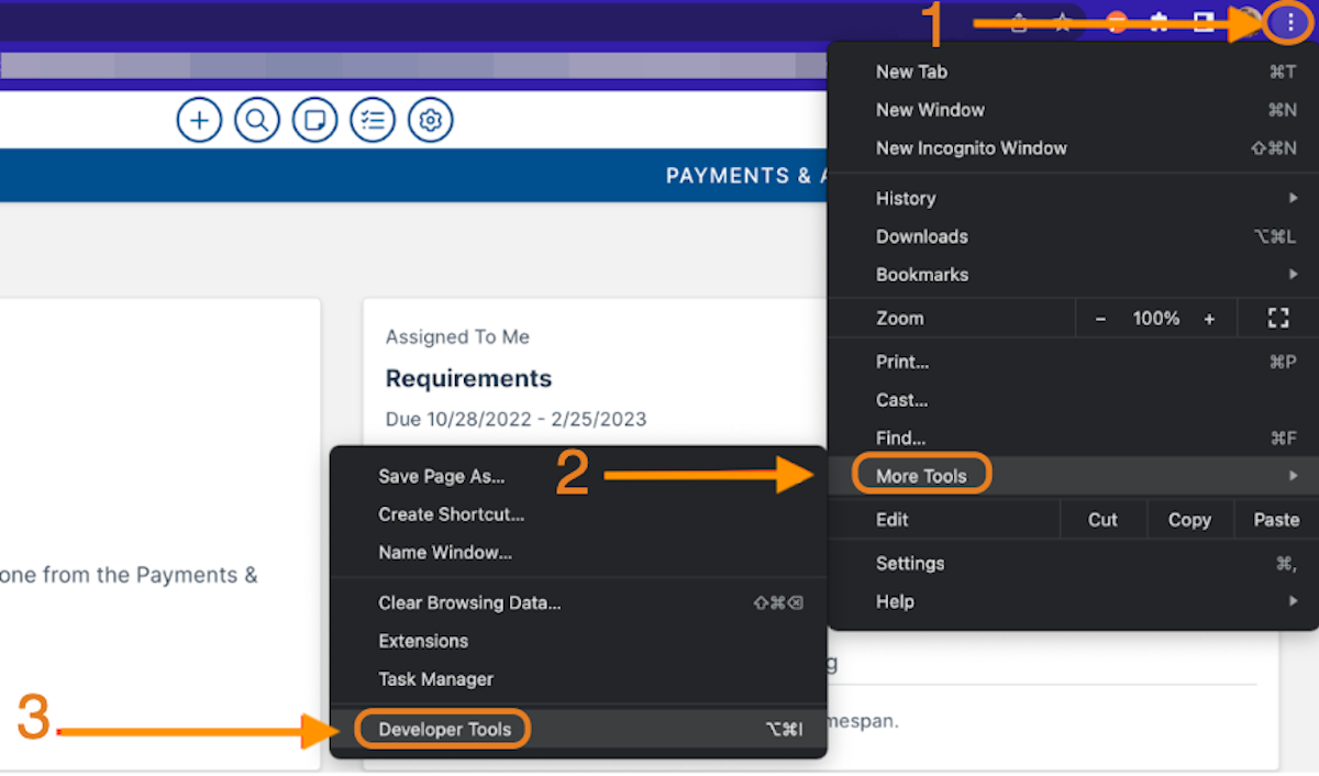 developer tools option