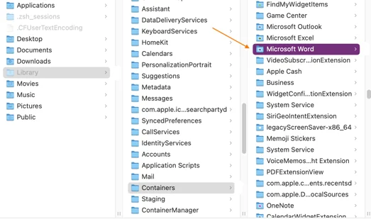 microsoft word file