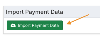 import payment data button