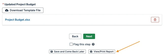 view/print report button