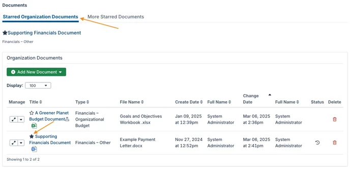 starred organization documents tab