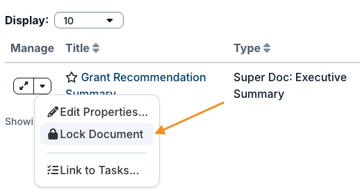 lock document option