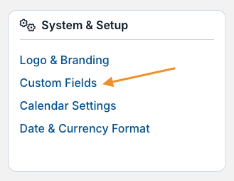 custom fields option