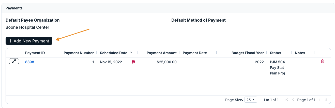 add new payment button