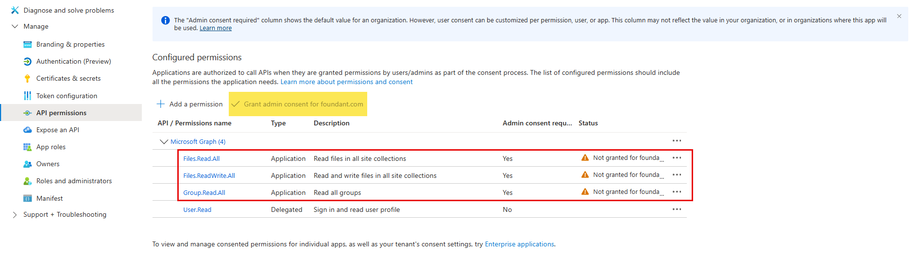 grant admin consent button